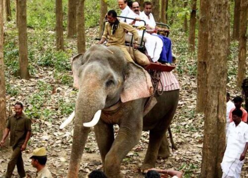 Jim Corbett: Riding an Elephant Through the Jungle