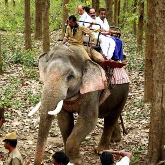 Jim Corbett: Riding an Elephant Through the Jungle