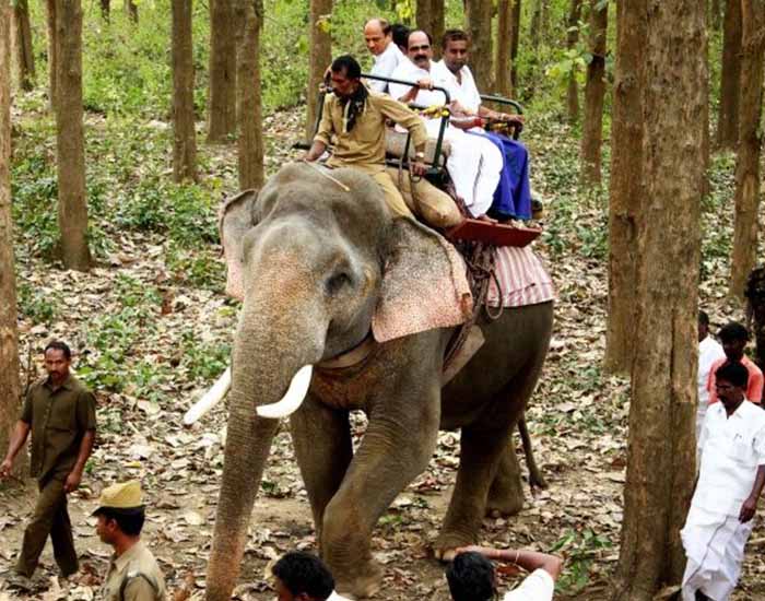 Jim Corbett: Riding an Elephant Through the Jungle